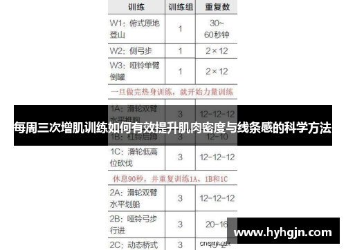 每周三次增肌训练如何有效提升肌肉密度与线条感的科学方法